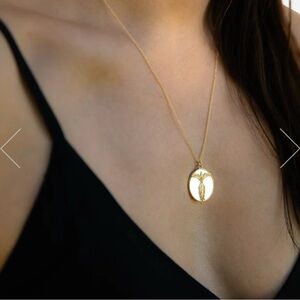 Talon 14K gold plated phoenix medallion necklace